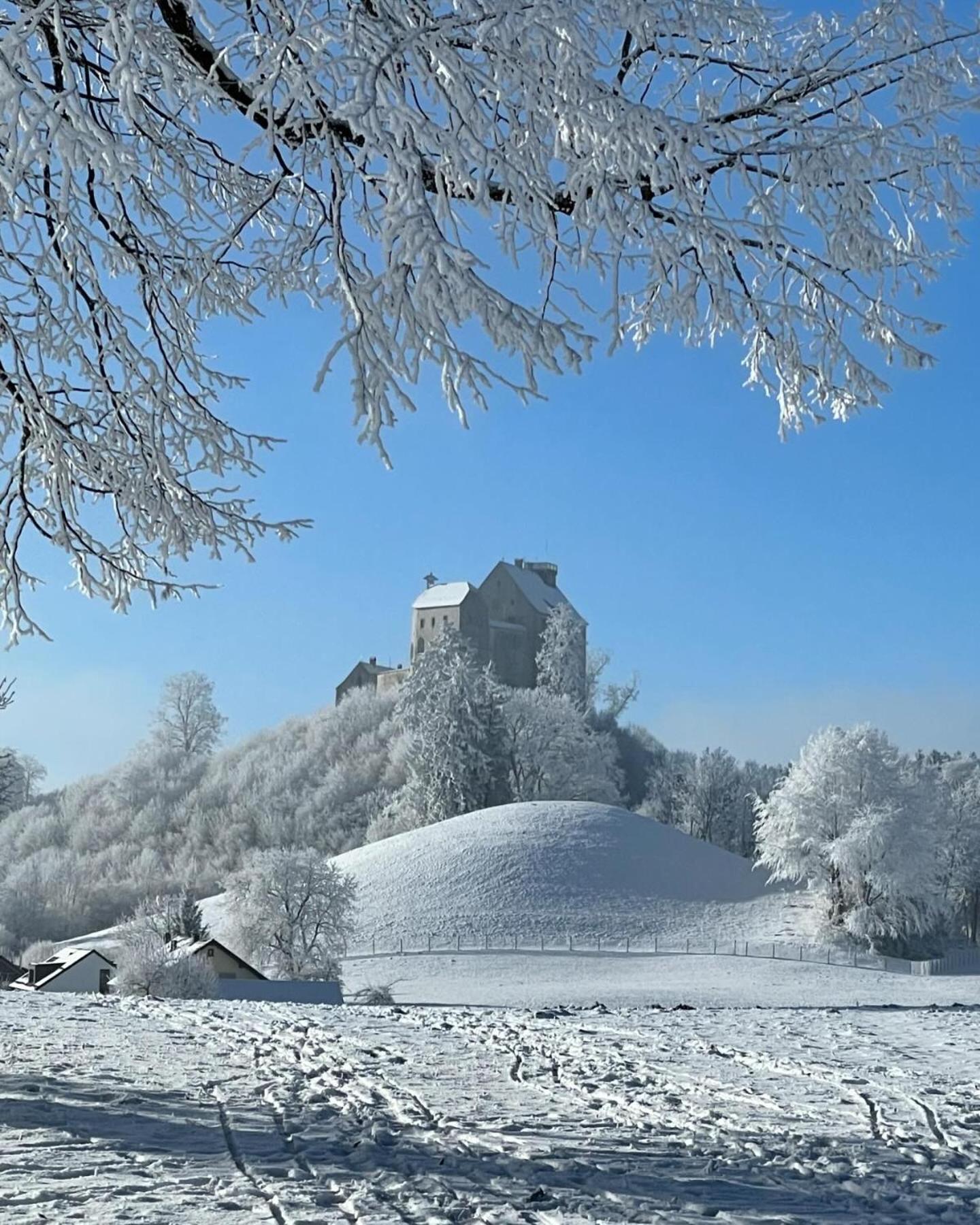 Apartmán Am Kohlenberg Waldburg Exteriér fotografie