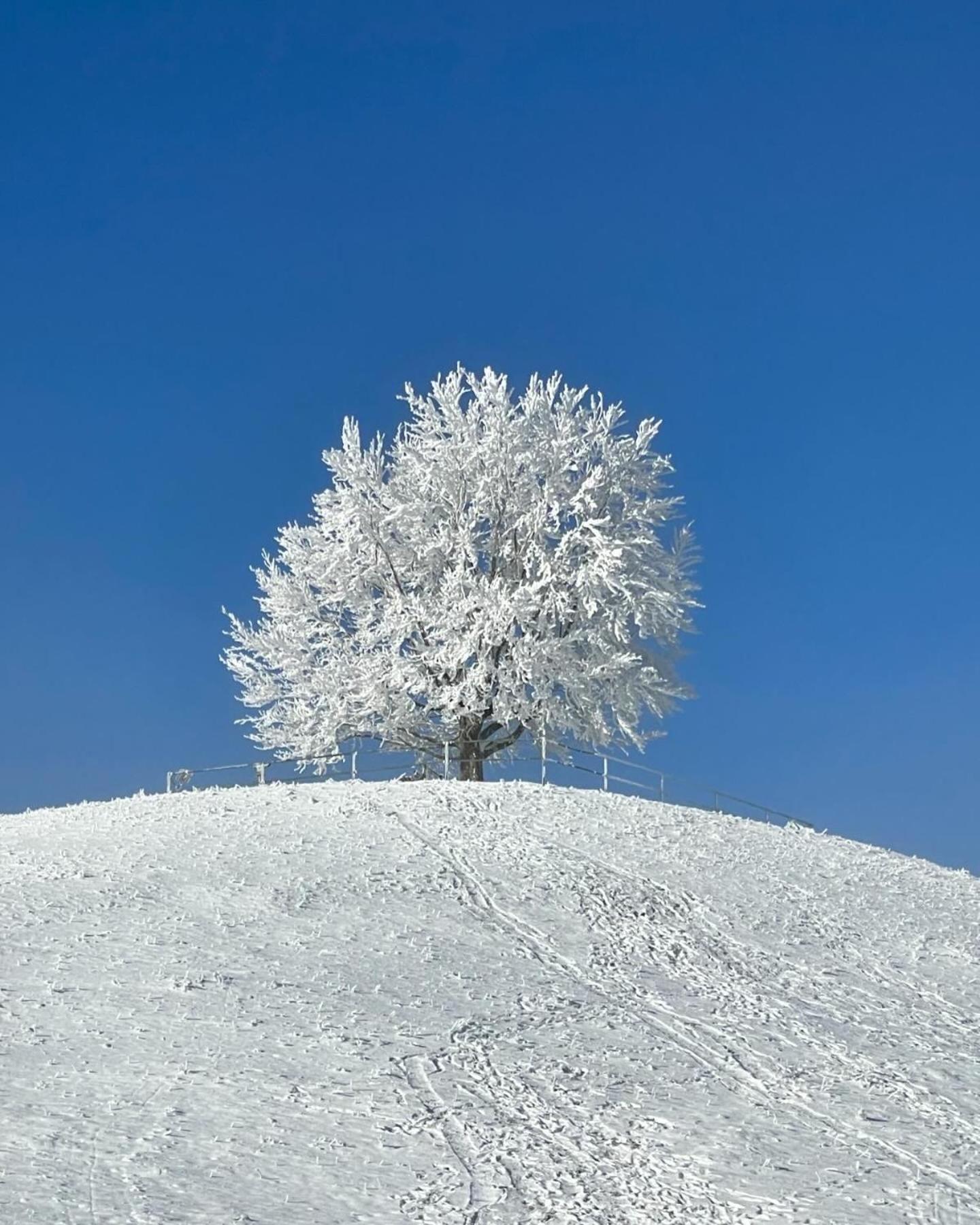Apartmán Am Kohlenberg Waldburg Exteriér fotografie